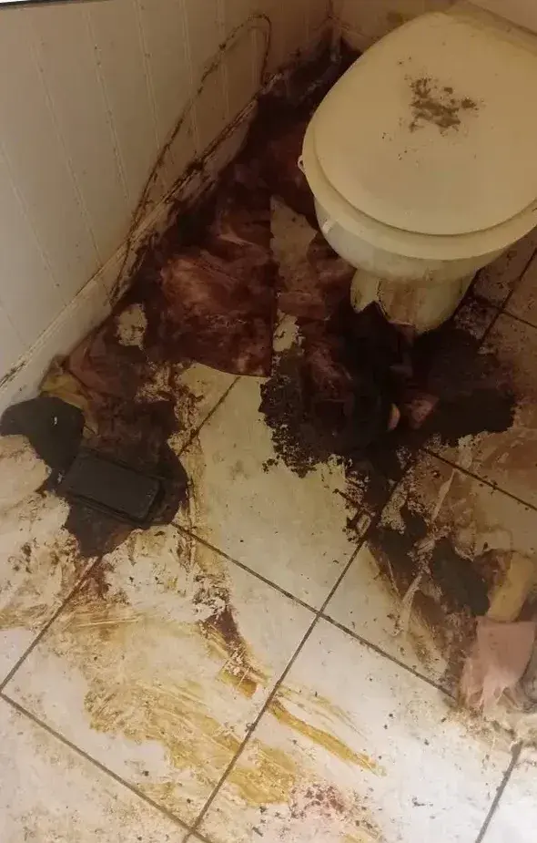 Avant : WC